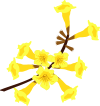 Ipê Amarelo Flor