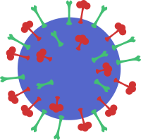 Virus