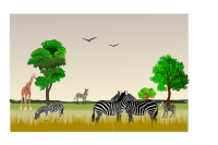 African Game reserve