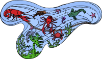 Sealife of the Sea