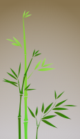 Green Bamboo