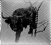 taurus