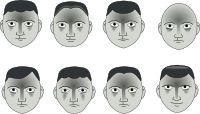8 heads