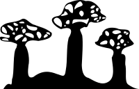 Boab silhouette