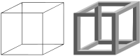 Necker cube and impossible cube