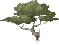 Alpine Landscape Mountain Bonsai 01c Al1