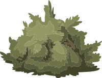 Alpine Landscape Mountain Flora 01a Al1