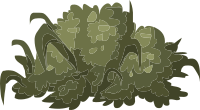 Alpine Landscape Mountain Flora 01b Al1