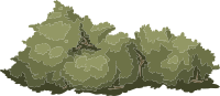 Alpine Landscape Mountain Flora 01e Al1