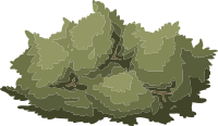 Alpine Landscape Mountain Flora 01f Al1