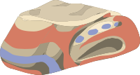 Artifact Nose Of China Piece2