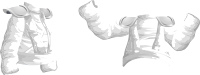 Avatar Wardrobe Shirt Ninja Top Tester