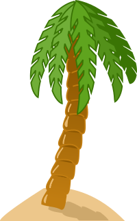 Palm tree