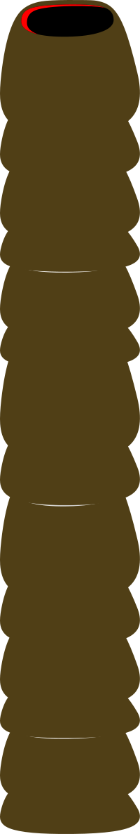 Firebog Column Plain