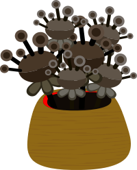Firebog Decor Plants1