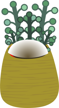 Firebog Decor Plants2