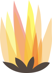 Firebog Fire1