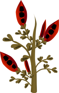 Firebog Firebean 1