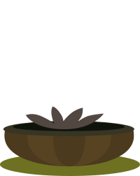 Firebog Fire Egg