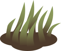 Firebog Grass Solid