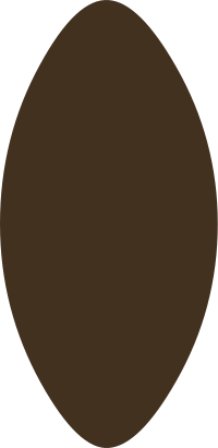 Firebog Ground Cutaway Hollow1