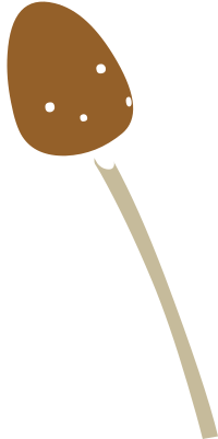 Firebog Mushroom1