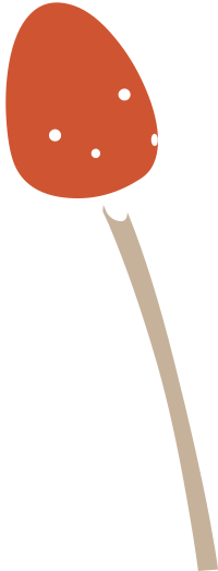 Firebog Mushroom2