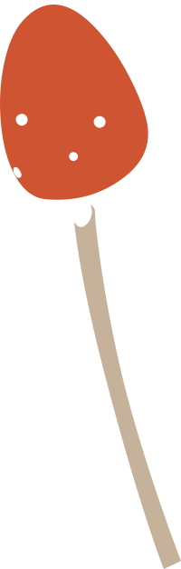 Firebog Mushroom3