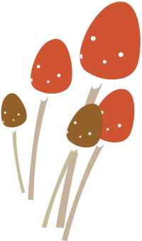 Firebog Mushrooms