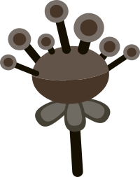 Firebog Plants4