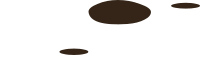 Firebog Soil Debris1