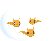 Firebog Tadpole Howl