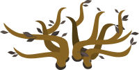 Firebog Treetop Noflowers 1