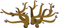 Firebog Treetop Noflowers 2