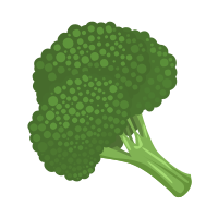 Food Broccoli