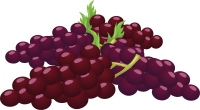 Food Bunch Of Grapes