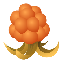 Food Cloudberry