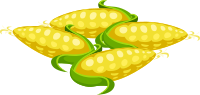 Food Corn