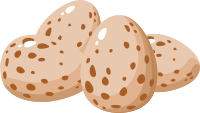 Food Egg Plain