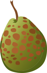 Food Guava Spotted