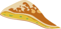 Food Kaysadillah