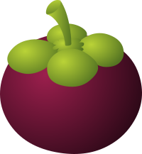 Food Mangosteen
