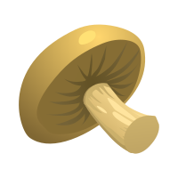 Food Mushroom