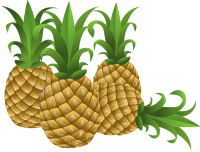 Food Pineapple