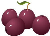 Food Plum