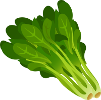 Food Spinach