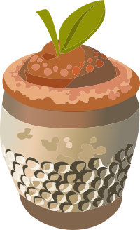 Food Thimble Berry