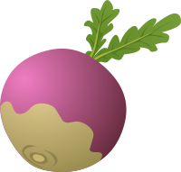 Food Turnip