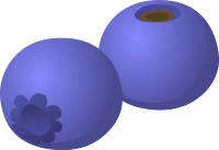 Food Whortleberry