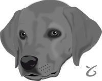 Dog head